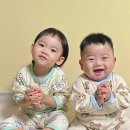 붕붕마마