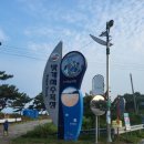 안면도갯벌체험 태안갯벌체험 "밧개해수욕장"과 "진산리 어촌계 조개 체험장" 비교 찐 솔직 후기