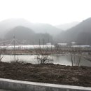 생1리 이미지