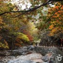 명일민박 이미지