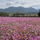 가조온천 이미지