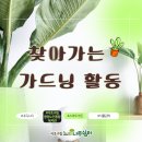 서초구립 중앙노인종합복지관 | 찾아가는 가드닝 활동(서초구립중앙노인종합복지관)