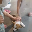 뜰위에농장 이미지