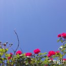 주)행복공동체 이미지