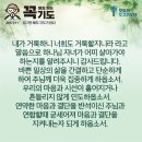 콩깍지