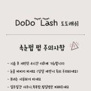 도도속눈썹 - 노원구 | 도도속눈썹