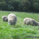 강릉으로 34시간짜리 휴가다녀왔습니다..[사진첨부] 이미지