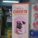 다시오개 이미지