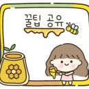 친환경 식물로 소품만들기 이미지