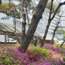 그린프라자 1차 이미지