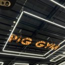[베트남:다낭] 헬스장 후기 (PIG GYM)