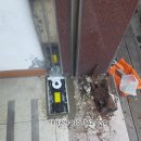 성실약국 이미지