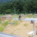 산화 태양광 네이버블로그
