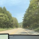 대관령솔내음오토캠핑장 | [캠핑 일기-8] 대관령 솔내음 오토캠핑장 E구역 42번 사이트, 대관령 계곡 캠핑장