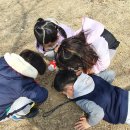 삼운사유치원 이미지