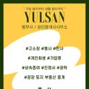 법무공인중개사사무소 이미지