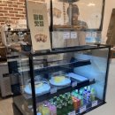 [오목천동카페] 카페 그린에서 미트파이 먹은 후기~