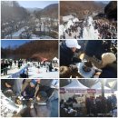 태백여관 | 태백 눈꽃 축제