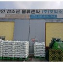 (주)햇빛소금