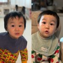 에이바헤어포항 | 포항 아기 미용실 추천 이동 에이바헤어 후기