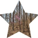 관양고등학교 이미지