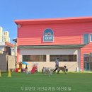 두류댕댕 | 두류댕댕 애견유치원 애견호텔 직접 다녀온 후기와 소감