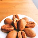 커피콩이야기
