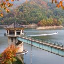 손영기목장 이미지