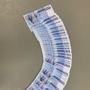 금오태권도 이미지