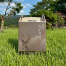 안심사슴농장 | 녹용진액 휘록 청록원 사슴농장 60봉, 건강 챙기는 보약으로 강력 추천!