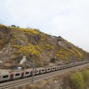 호화농장 이미지