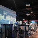 에스휘트니스 이미지