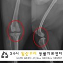 수아동물병원 이미지