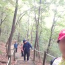 성보교통(주) | 서울둘레길 9코스 아침 완주: 대모 · 구룡산 자연생태 유람길 트레킹 후기