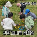 글로벌샤인유치원 | 인천 숲체험 신청 개미쌤 숲놀이 후기