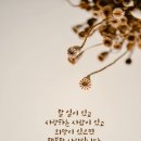 리틀화이트 이미지