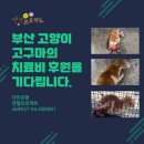 엔젤프로젝트