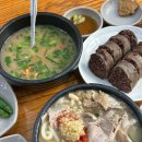 창녕순대국밥 | 경상도 토박이의 사상 합천일류돼지국밥 먹어본 후기 (돼지우동, 순대백반)