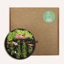 가장농장 이미지