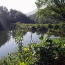 동암천 이미지