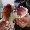 한우와바다 이미지