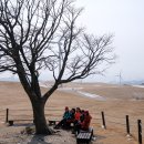 영식목장 이미지