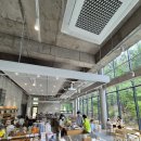베이직병원 | 베이직베이커리 분당 구미동 대형카페 내돈내산 후기