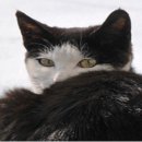 다산동물약국 이미지