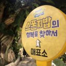 해피리빙존 | 스펀지밥 전시회 @용산아이파크몰 (내돈내산후기)
