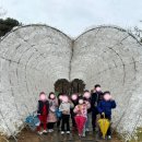 손태진태권도 | 압량 손태진 태권도 X 3월 체험학습