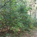 두산리 경로당 이미지