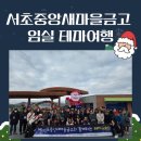 임실서초 이미지