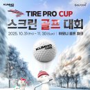 파스크린골프 이미지