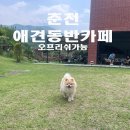 러스틱문 이미지